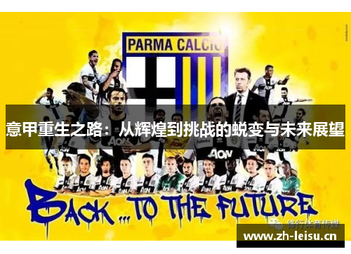意甲重生之路：从辉煌到挑战的蜕变与未来展望